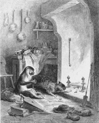 La scimmia e il gatto, 1868 da Gustave Dore